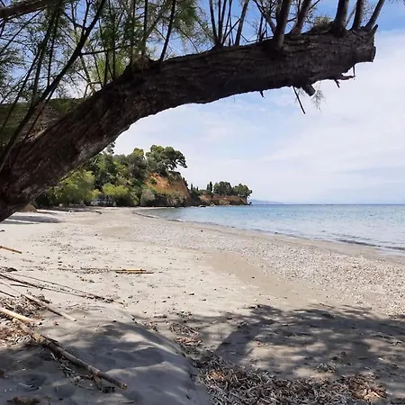Traditional House At Near