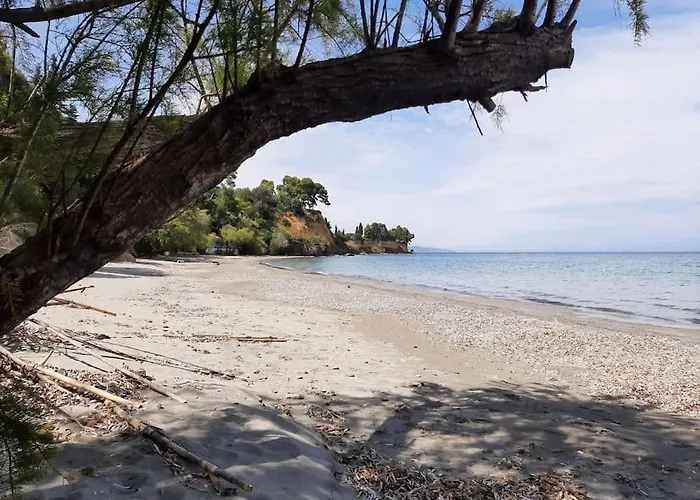 Traditional House At Near